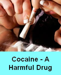 cocaine-a-harmful-drug1.jpg